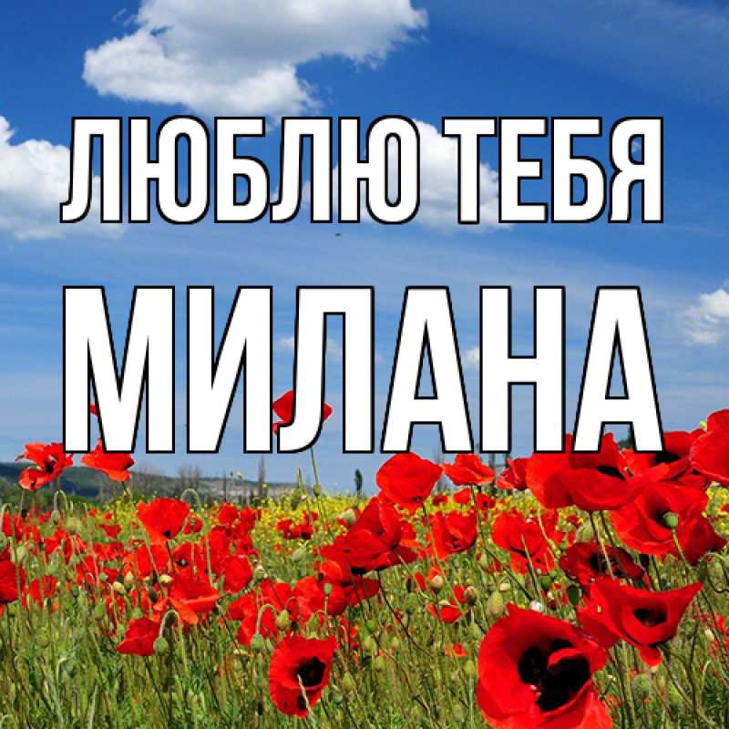 Картинка Люблю тебя, Милана