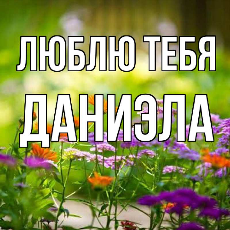 Открытка с именем, Даниэла, Люблю тебя