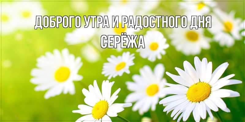 Картинка Доброго утра и радостного дня, Серёжа