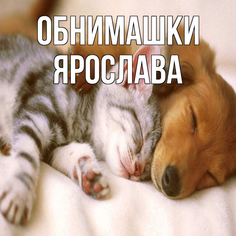 Картинка Обнимашки, Ярослава