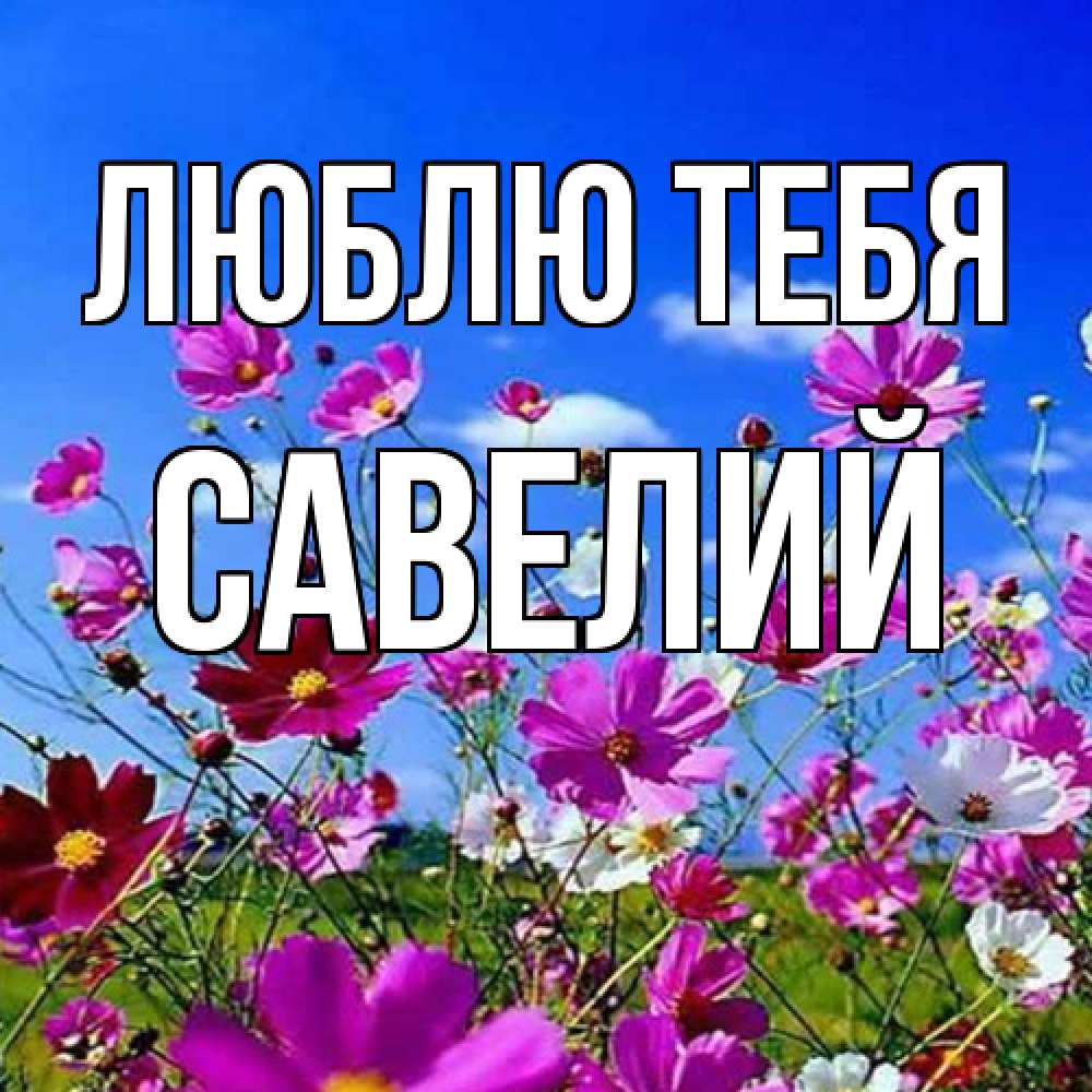 Открытка на каждый день с именем, Савелий Люблю тебя цветы Прикольная открытка с пожеланием онлайн скачать бесплатно 