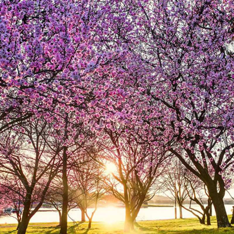 Картинка Люблю тебя, 