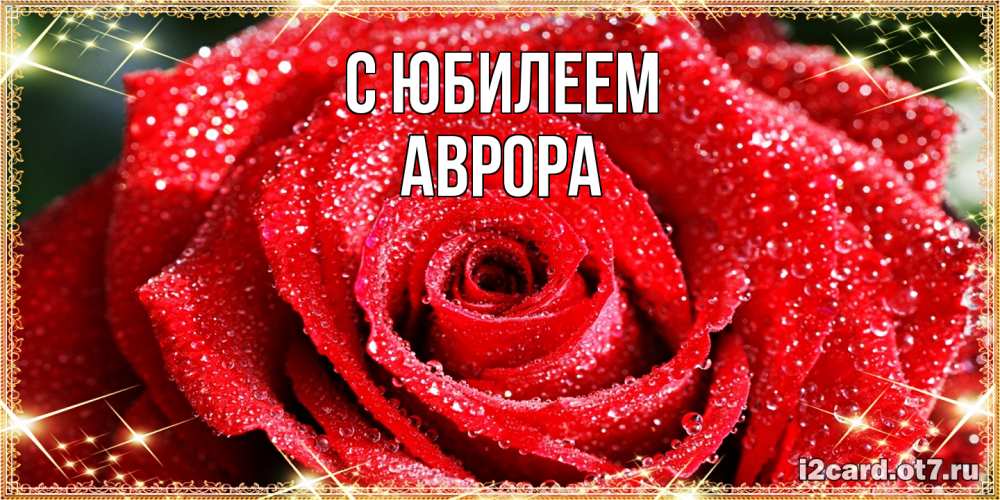 Открытка на каждый день с именем, Аврора C юбилеем роса и роза. открытка с красивой розой Прикольная открытка с пожеланием онлайн скачать бесплатно 