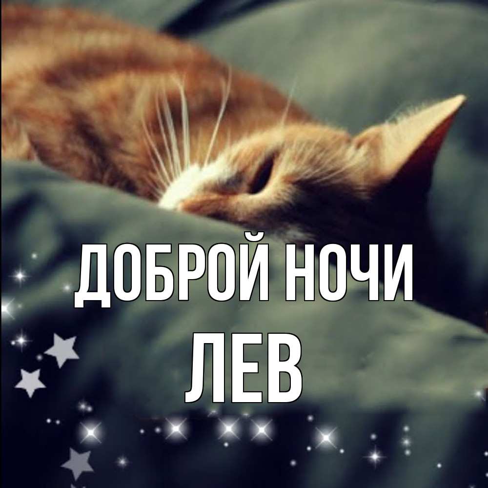 Открытка на каждый день с именем, Лев Доброй ночи кроватка Прикольная открытка с пожеланием онлайн скачать бесплатно 
