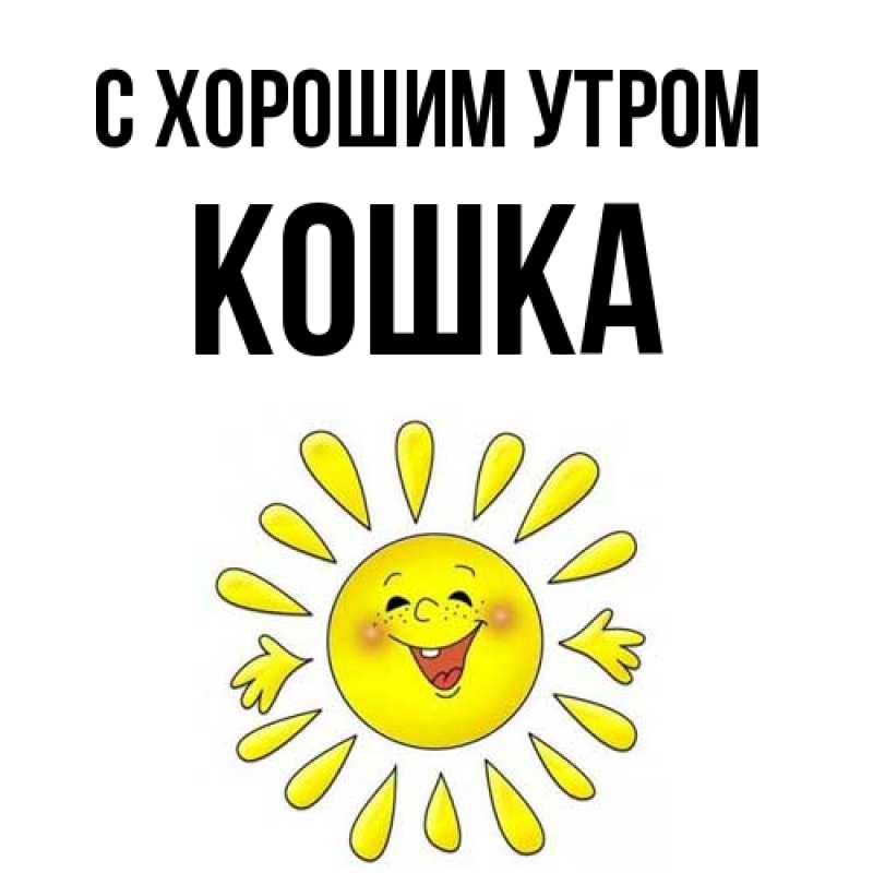 Картинка С хорошим утром, Кошка