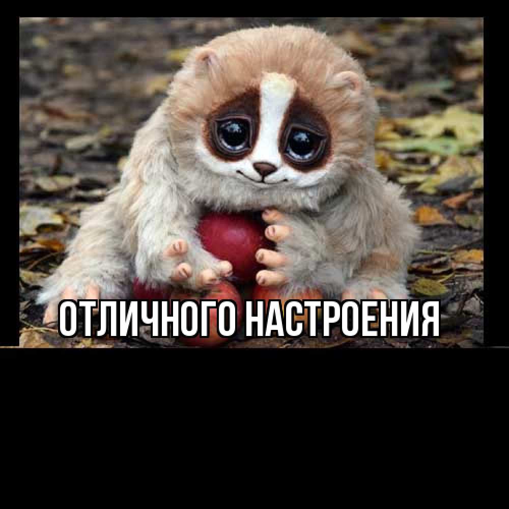 Открытка на каждый день с именем, Жорж Большое спасибо прикольное животное Прикольная открытка с пожеланием онлайн скачать бесплатно 