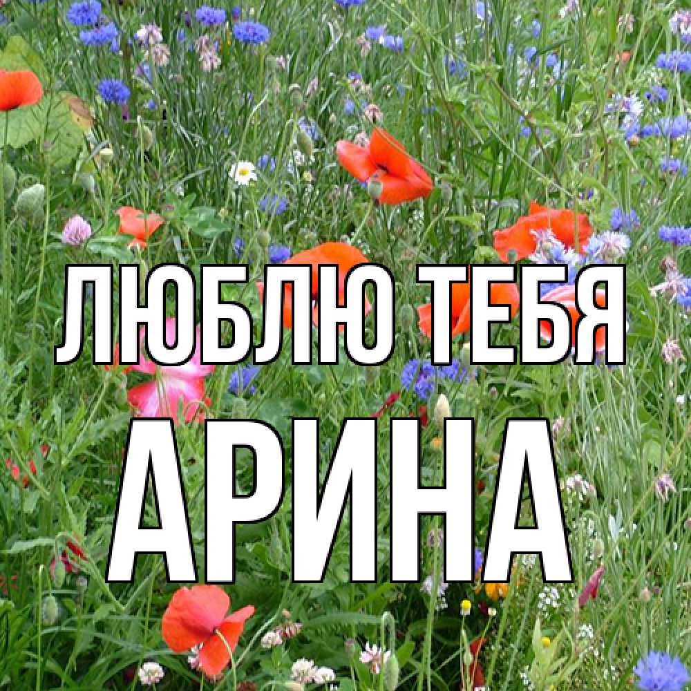 Открытка на каждый день с именем, Арина Люблю тебя международный женский день 4 Прикольная открытка с пожеланием онлайн скачать бесплатно 