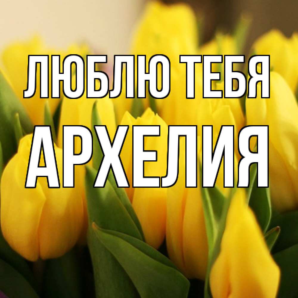 Открытка на каждый день с именем, Архелия Люблю тебя цветы Прикольная открытка с пожеланием онлайн скачать бесплатно 