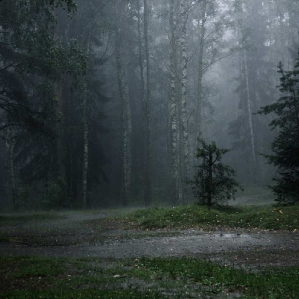 Открытка на каждый день с именем, Богдан Скучашки одна и плохо мне Прикольная открытка с пожеланием онлайн скачать бесплатно 