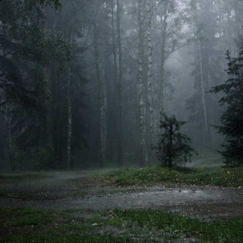 Картинка Скучашки, Богдан