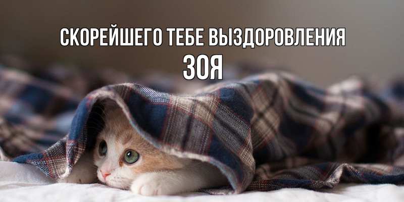 Картинка Скорейшего тебе выздоровления, Зоя