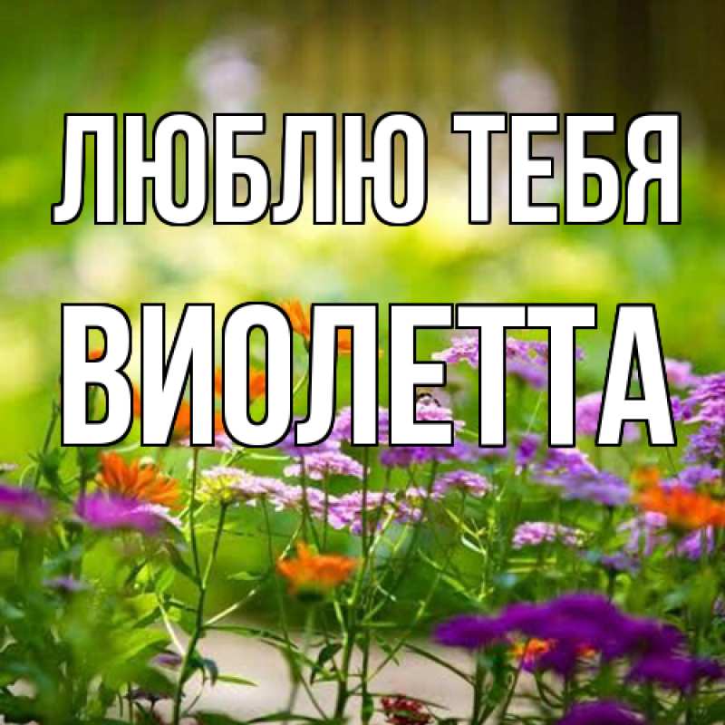 Картинка Люблю тебя, Виолетта
