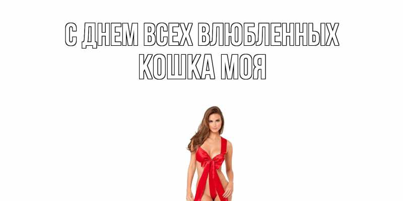 Картинка С днем всех влюбленных, Кошка моя