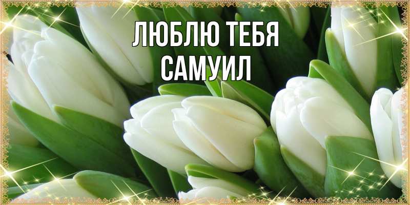 Картинка Люблю тебя, Самуил