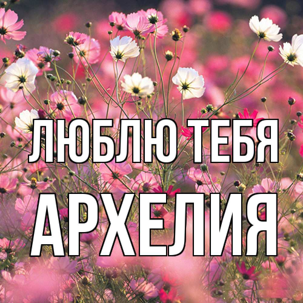 Открытка на каждый день с именем, Архелия Люблю тебя красиво 1 Прикольная открытка с пожеланием онлайн скачать бесплатно 