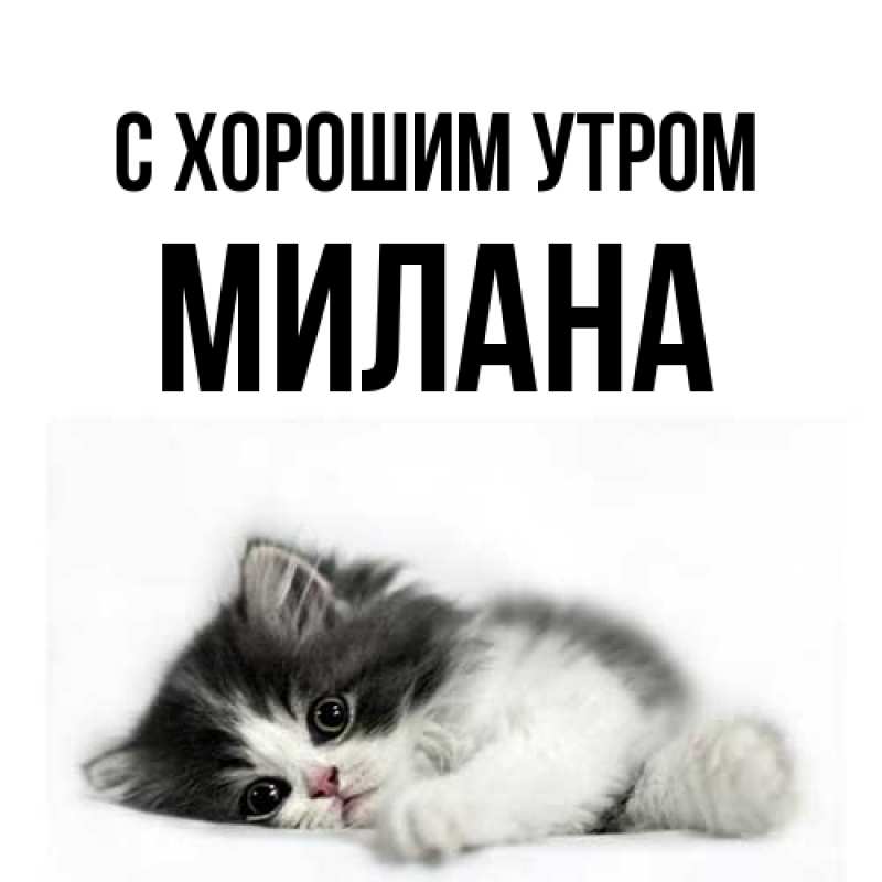 Картинка С хорошим утром, Милана