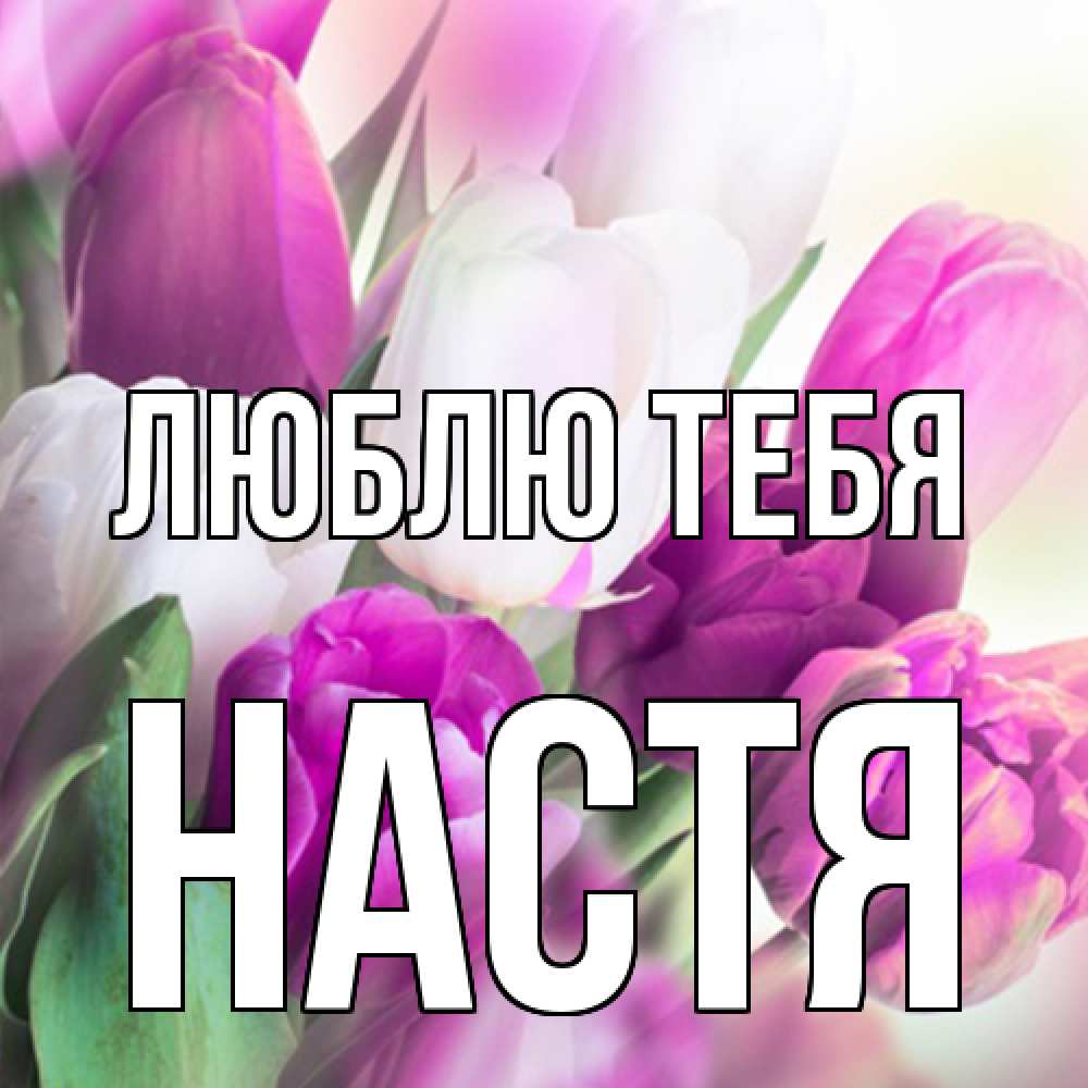 Открытка на каждый день с именем, Настя Люблю тебя весна 1 Прикольная открытка с пожеланием онлайн скачать бесплатно 