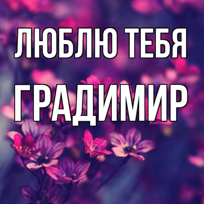 Картинка Люблю тебя, Градимир