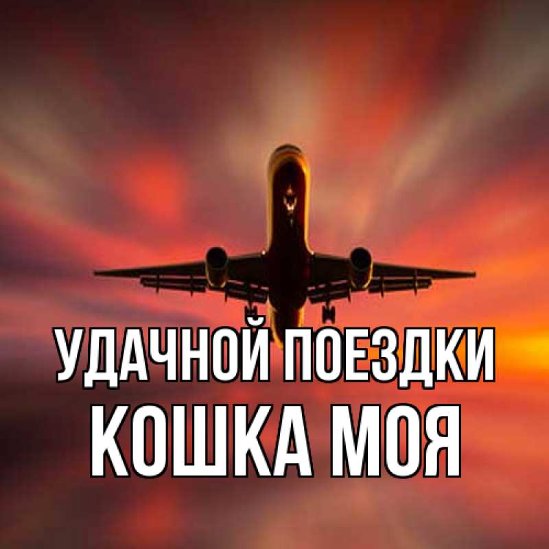 Картинка Удачной поездки, Кошка моя