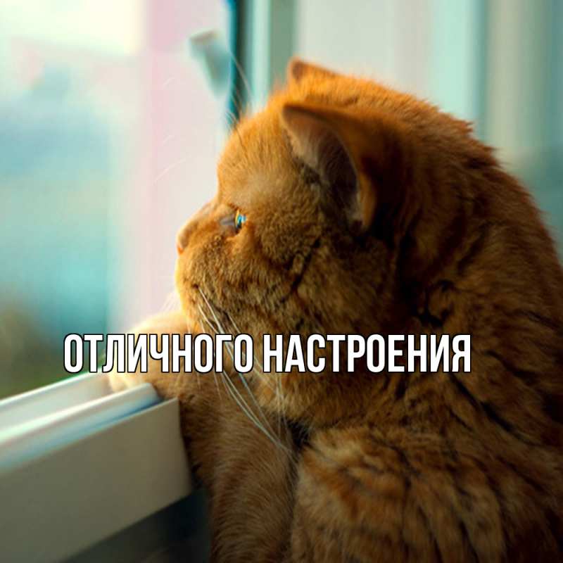Картинка Обнимашки, Кисуля моя