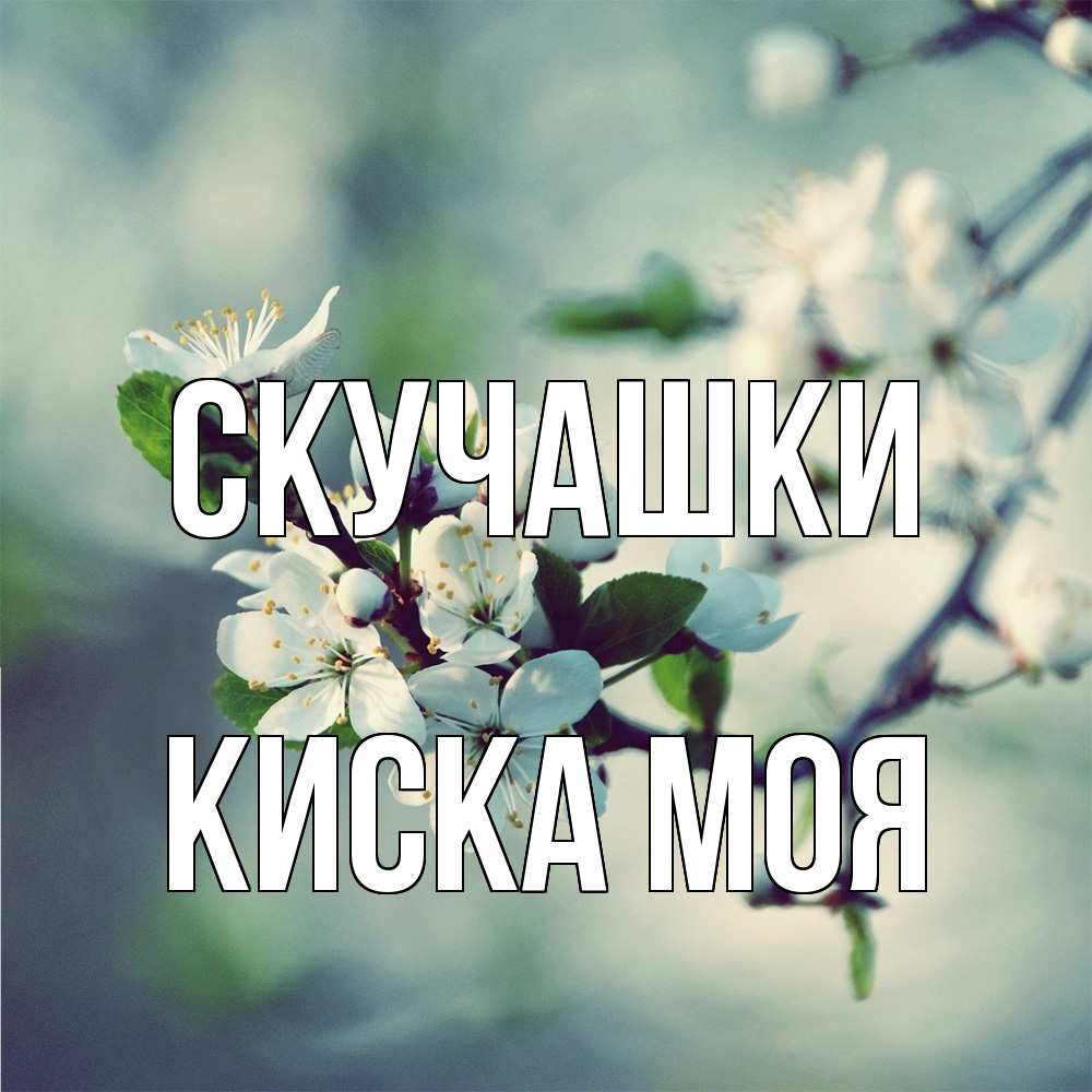 Открытка на каждый день с именем, Киска-моя Скучашки весна Прикольная открытка с пожеланием онлайн скачать бесплатно 