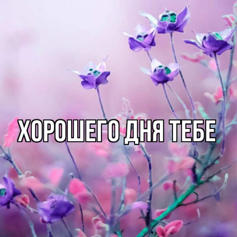 Картинка Люблю тебя, Гордон