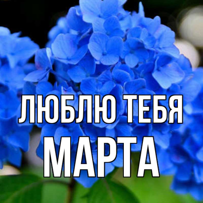 Картинка Люблю тебя, Марта