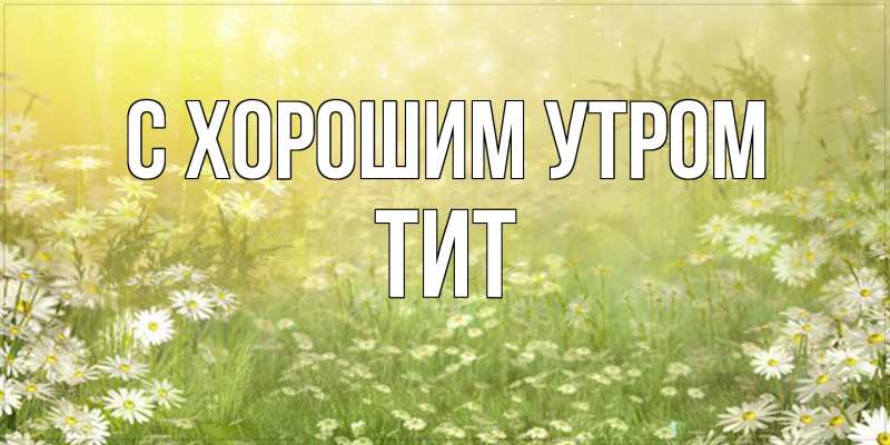 Картинка С хорошим утром, Тит