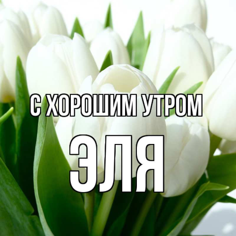 Картинка С хорошим утром, Эля