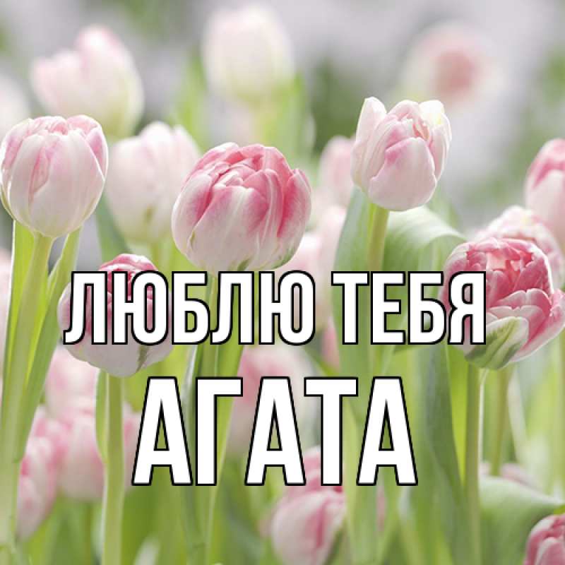 Картинка Люблю тебя, Агата