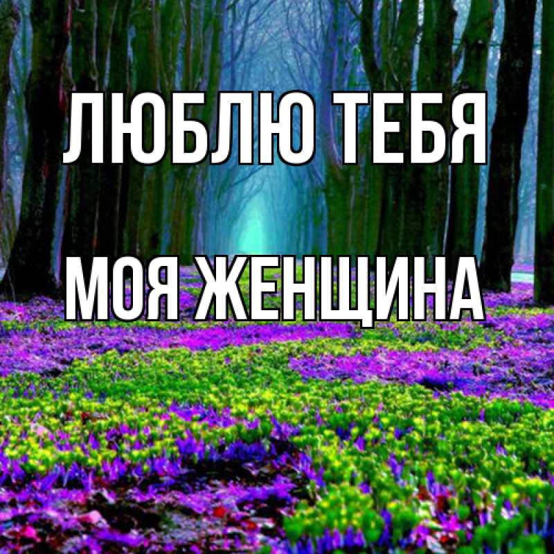 Картинка Люблю тебя, Моя женщина