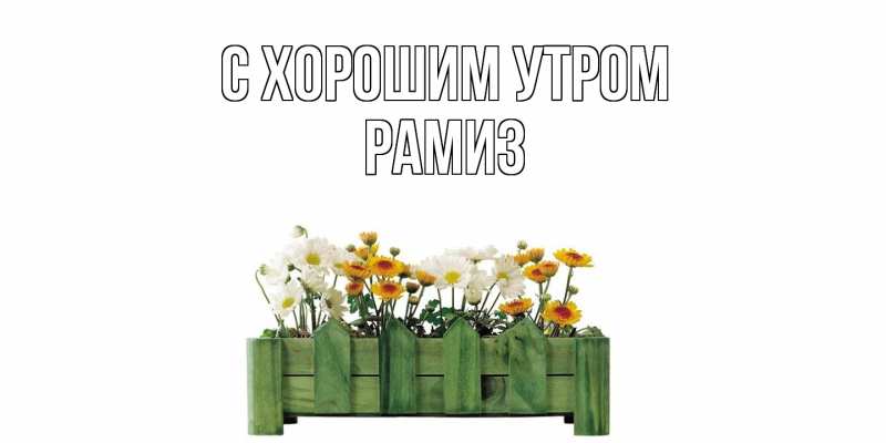 Картинка С хорошим утром, Рамиз