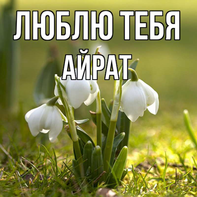 Открытка с именем, Айрат, Люблю тебя
