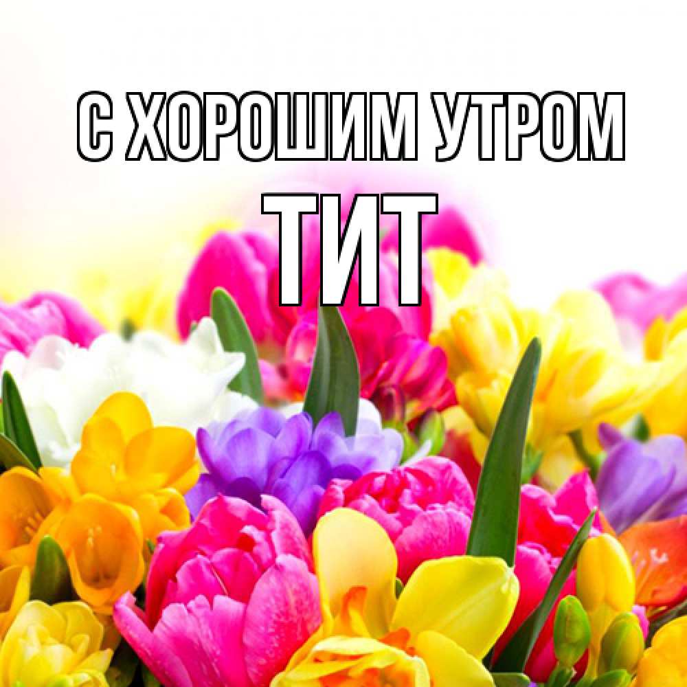 Открытка на каждый день с именем, Тит С хорошим утром создать открытку со свое подписью Прикольная открытка с пожеланием онлайн скачать бесплатно 