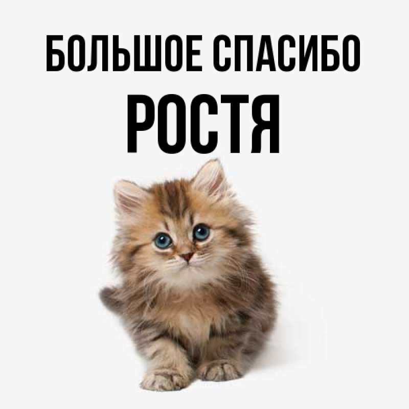 Картинка Большое спасибо, Ростя