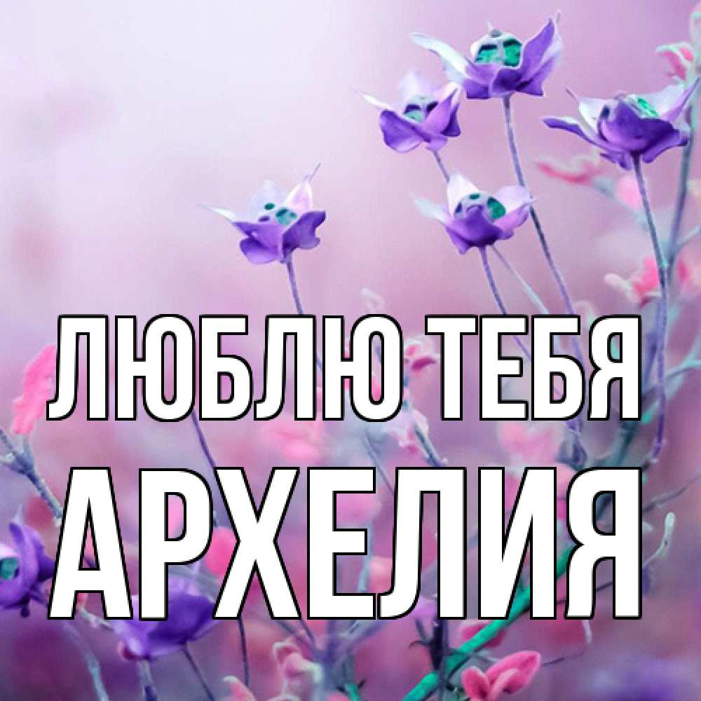 Открытка на каждый день с именем, Архелия Люблю тебя международный женский день 2 Прикольная открытка с пожеланием онлайн скачать бесплатно 