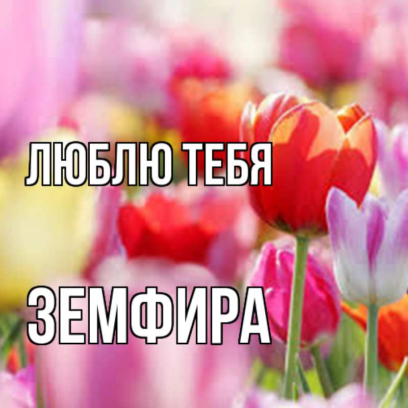 Картинка Люблю тебя, Земфира