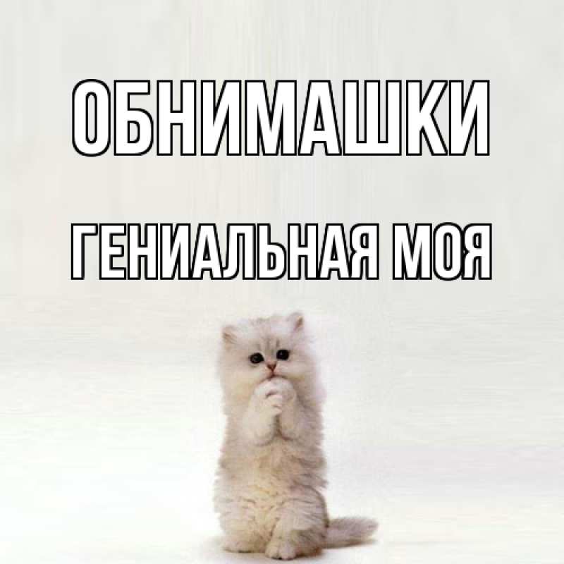Картинка Обнимашки, Гениальная моя
