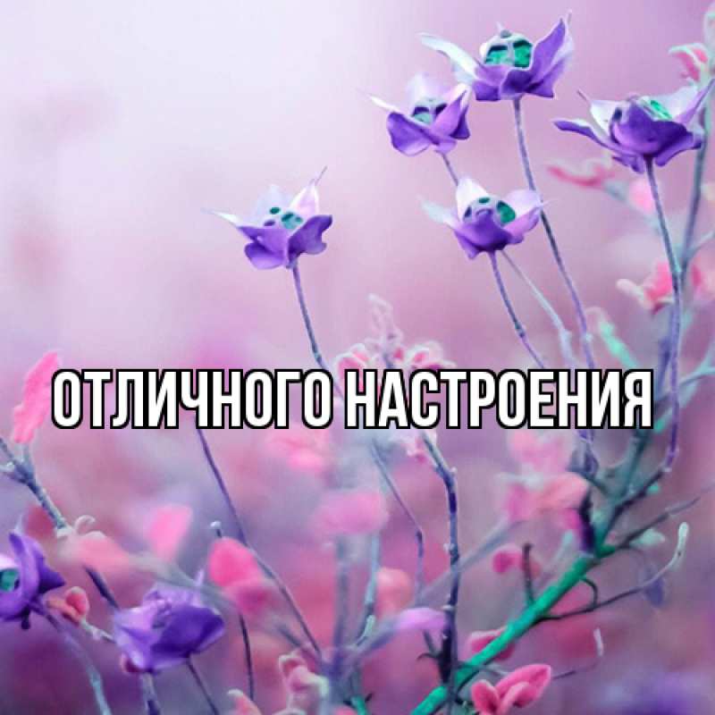 Картинка Люблю тебя, Габриэлла