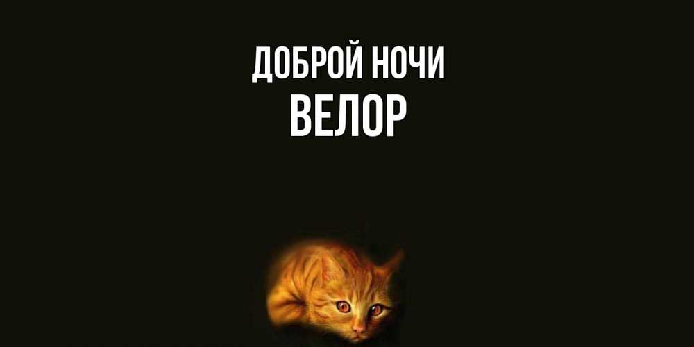 Открытка на каждый день с именем, Велор Доброй ночи кот Прикольная открытка с пожеланием онлайн скачать бесплатно 