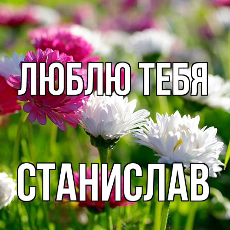Открытка с именем, Станислав, Люблю тебя