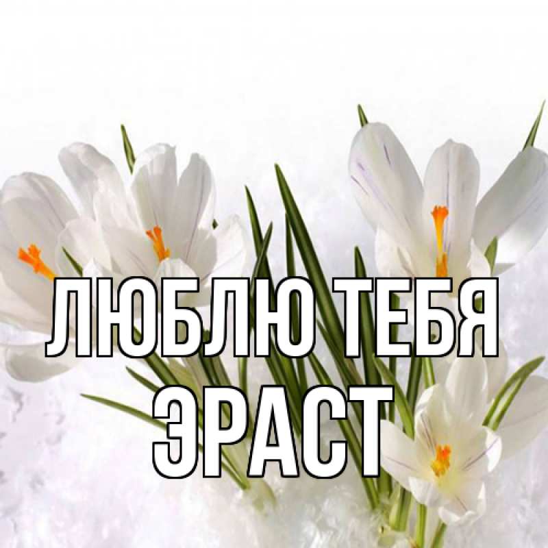 Открытка с именем, Эраст, Люблю тебя