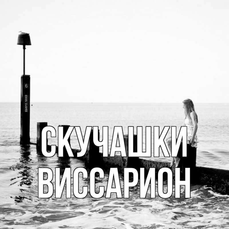 Картинка Скучашки, Виссарион