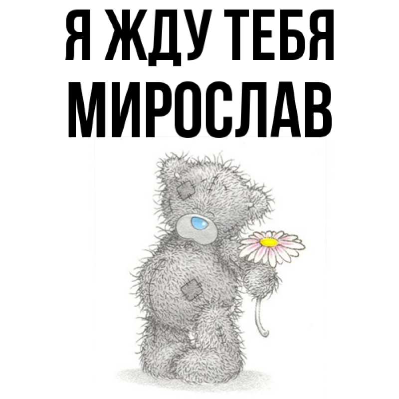 Картинка Я жду тебя, Мирослав