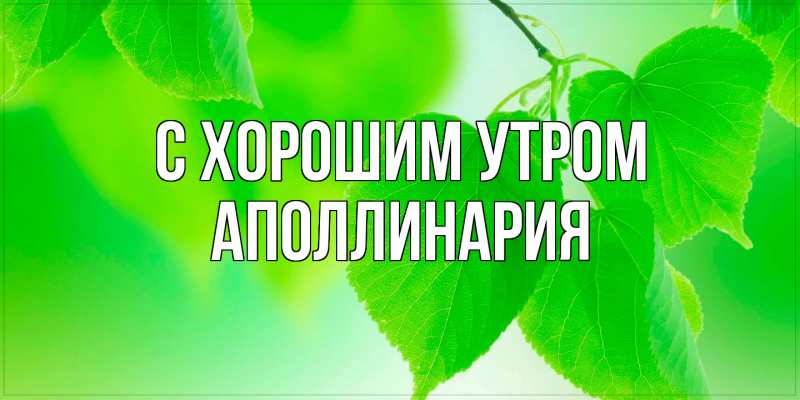 Картинка С хорошим утром, Аполлинария