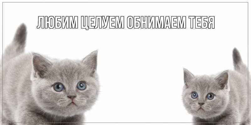 Картинка Хорошего дня тебе, Феодосий