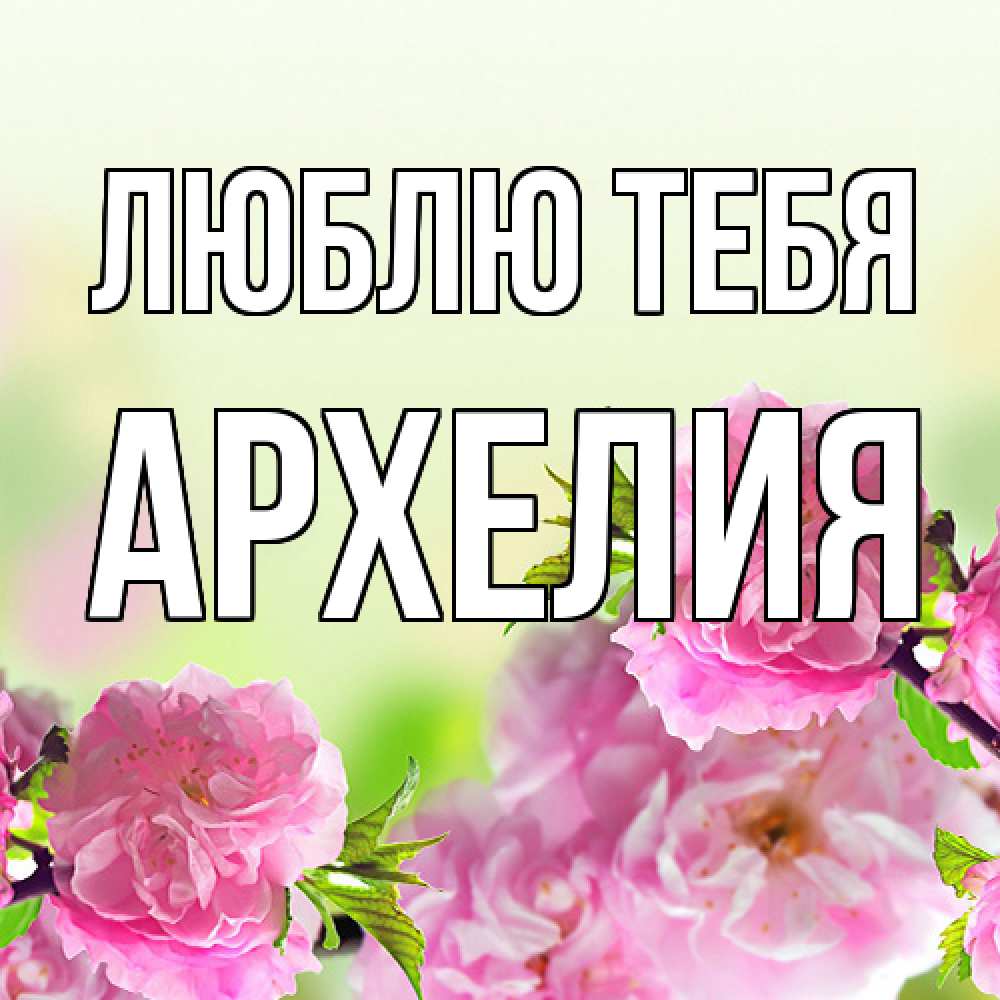 Открытка на каждый день с именем, Архелия Люблю тебя цветы Прикольная открытка с пожеланием онлайн скачать бесплатно 