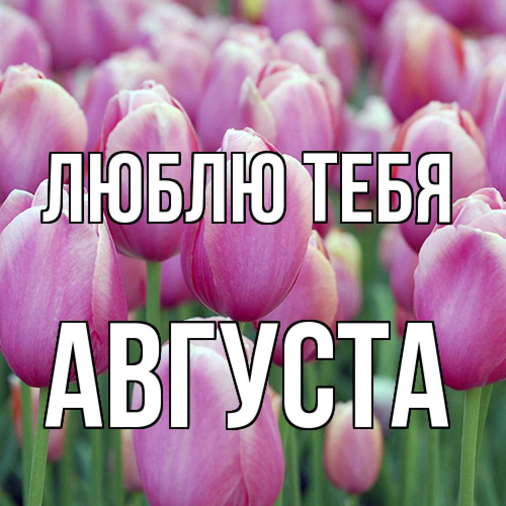 Открытка на каждый день с именем, Августа Люблю тебя на международный женский день 3 Прикольная открытка с пожеланием онлайн скачать бесплатно 
