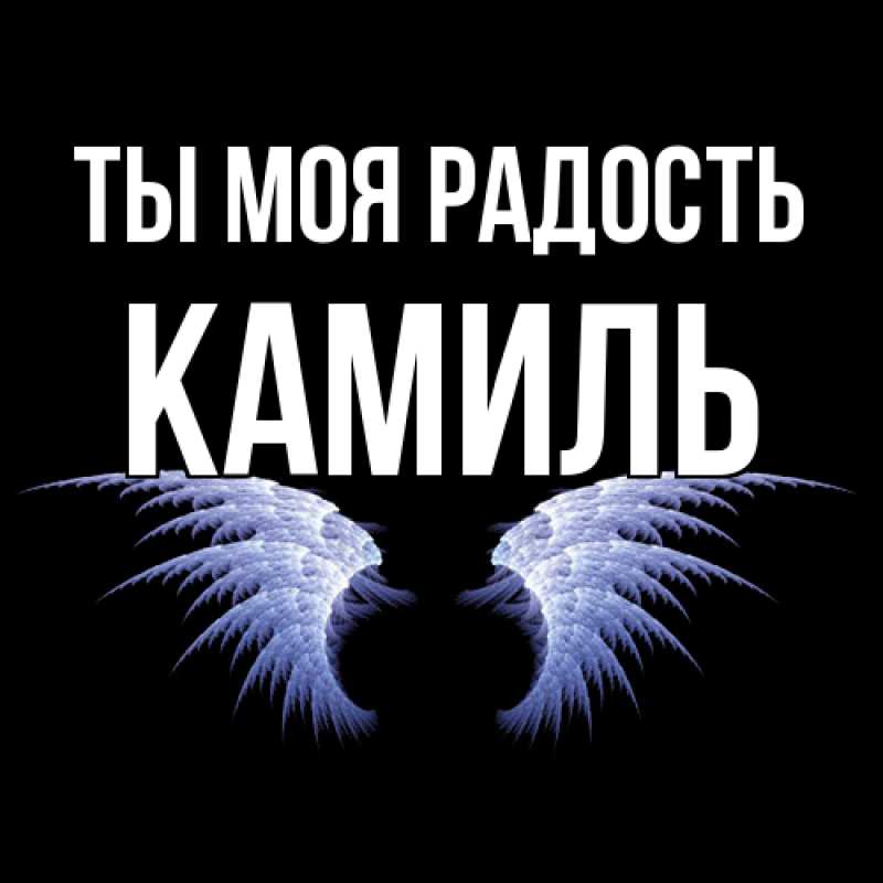 Картинка Ты моя радость, Камиль