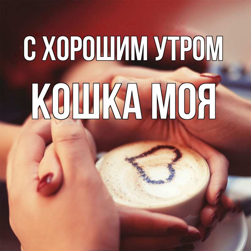 Картинка С хорошим утром, Кошка моя